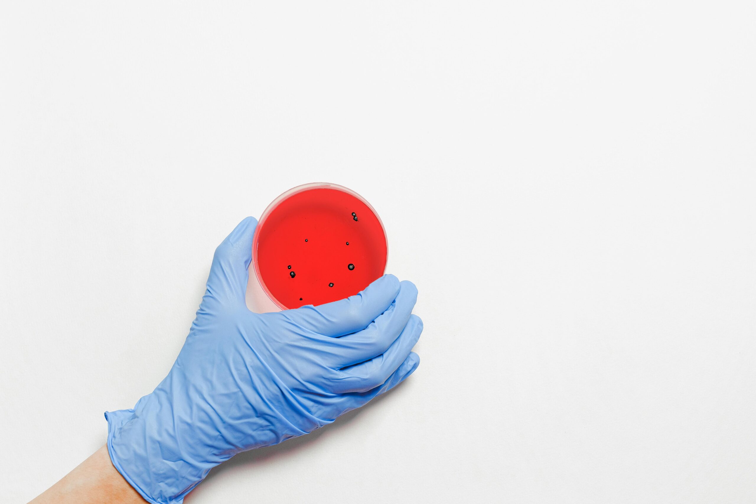 Close-up of a gloved hand holding a petri dish with red liquid, symbolizing laboratory research.